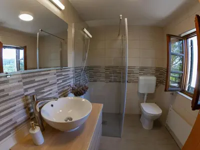 a bathroom with a sink and a toilet at Hillside Haven Holiday Home with Sauna and Hot-Tub - One Bedroom Holiday Home with Sauna and Hot-Tub in Podbočje