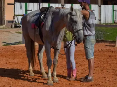 a man is standing next to a gray horse at Standard One Bedroom Apartment in Brežice