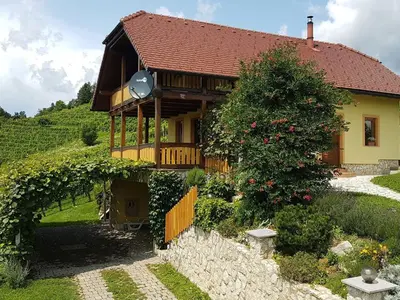 a house with a tree in front of it at Vivid Hillside Country House with Hot-Tub and Sauna - Two Bedroom Country House in Sevnica