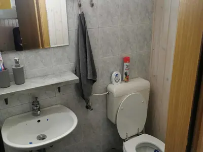 a small bathroom with a toilet and a sink at Mountain Vista Cottage with Private Sauna - One Bedroom Cottage in Škofja Loka