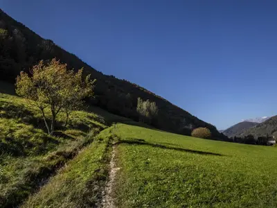 a dirt road in a green field with a tree at Riverside Rustic Ridge Apartments with Balcony - Three Bedroom Apartment with Balcony in Slappe dʼIdria