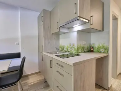 a kitchen with a sink and a counter top at Cozy and Chic Apartment in Kranjska Gora - Studio Apartment in Kranjska Gora