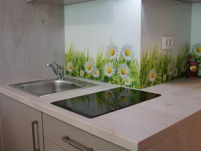 a kitchen sink with a painting of flowers on the wall at Cozy and Chic Apartment in Kranjska Gora - Studio Apartment in Kranjska Gora