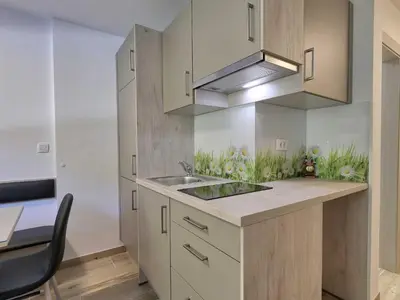 a kitchen with a sink and a counter top at Cozy and Chic Apartment in Kranjska Gora - Studio Apartment in Kranjska Gora