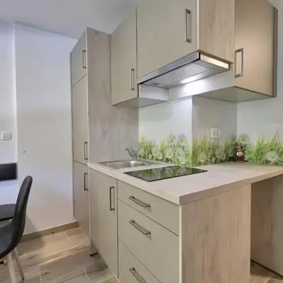 Cozy and Chic Apartment in Kranjska Gora - Studio Apartment