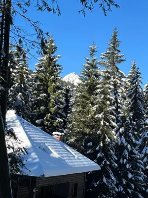 a house covered in snow with trees in the background at Triglav NP Apartment - above Bled in Zgornje Gorje