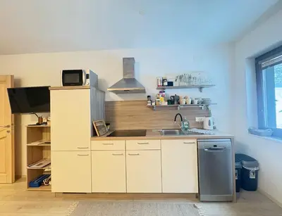 a kitchen with a sink and a refrigerator at Triglav NP Apartment - above Bled in Zgornje Gorje