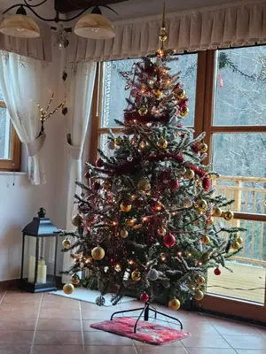 a christmas tree sitting in front of a window at Rupicapra Holiday Mountain House in Kostel