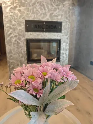 a vase with pink flowers in front of a fireplace at RANČ Dida