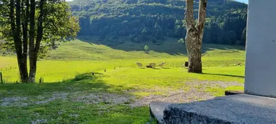 a green field with a tree and animals in the grass at TDI - Modern 2-Bedroom Apartment in nature