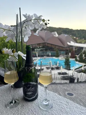 a bottle of wine and two glasses on a table at Apartman O Terme Olimia in Ravne na Koroškem