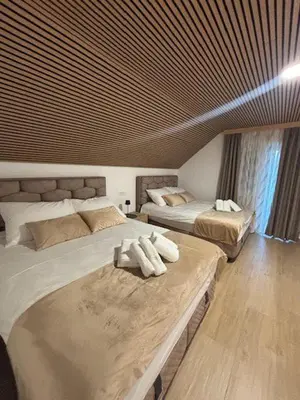 a bedroom with two beds and a wooden ceiling at Apartman O Terme Olimia in Ravne na Koroškem