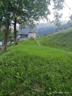 a field of grass with a house on a hill at Alpennelke family apartment in Bohinjska Bela