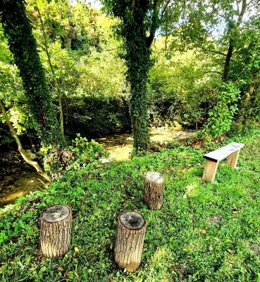 a group of tree stumps and a bench in a park at Atelje Mlin Umetnin Retreat in Šentjur