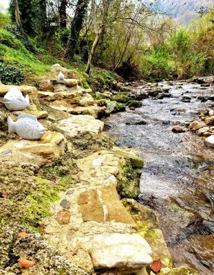a stream with rocks at Atelje Mlin Umetnin Retreat in Šentjur