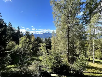 a forest of trees with mountains in the background at The house at the larssen in Šmartno pri Slovenj Gradcu