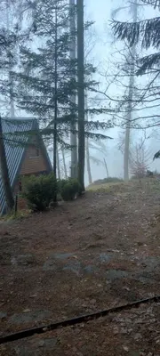 a house on a hill in the fog with trees at The house at the larssen in Šmartno pri Slovenj Gradcu