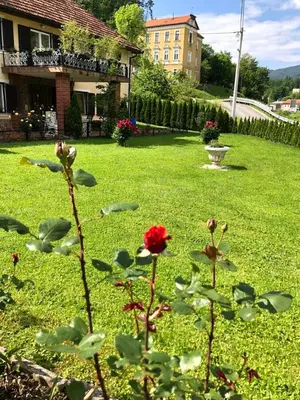 a green yard with a red flower in the grass at Apartma center in Rogaška Slatina