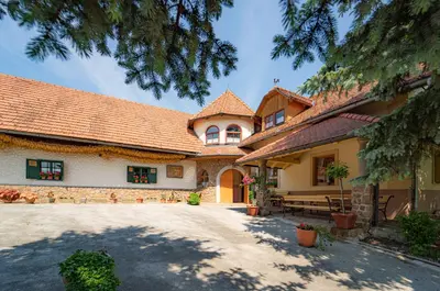 a large house with a roof at Winery Toplak in Juršinci