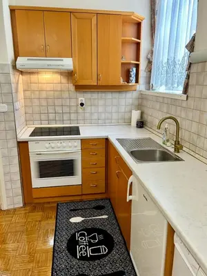a small kitchen with a sink and a stove at Ana Marija Apartment - Vila Golf in Rogaška Slatina