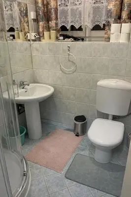a bathroom with a toilet and a sink at Ana Marija Apartment - Vila Golf in Rogaška Slatina