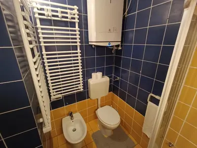a small bathroom with a toilet and a sink at Studio Korra in Kranjska Gora