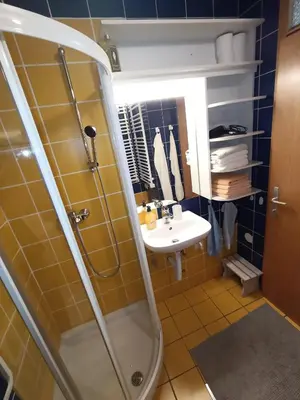 a bathroom with a sink and a shower at Studio Korra in Kranjska Gora