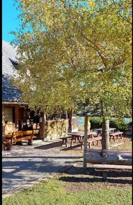 a group of picnic tables and a tree at planinski dom Goška Ravan in Kamna Gorica