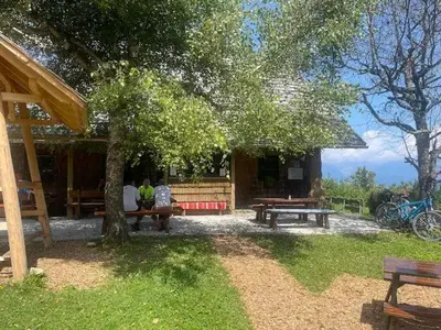 a cabin with picnic tables and a tree in the yard at planinski dom Goška Ravan in Kamna Gorica