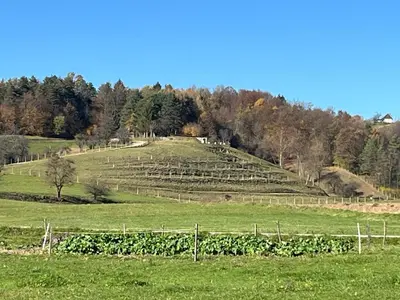 a field with a hill with crops on it at Prista Ranch Cirkulane in Rove
