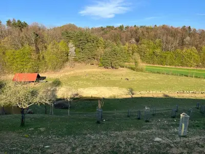 a group of animals grazing on a hill in a field at Prista Ranch Cirkulane in Rove