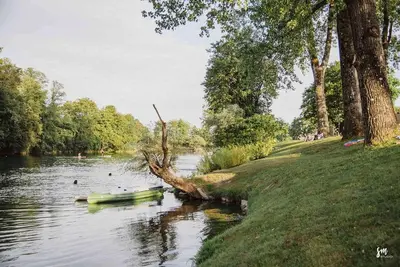 a fallen tree in the water next to a river at BIG BERRY Kolpa - MIR mobile house in Gradac