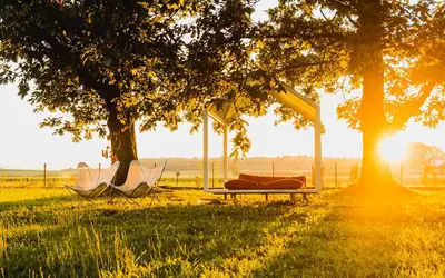 two hammocks in a field under a tree at BIG BERRY Kolpa - MIR mobile house in Gradac