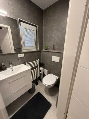 a bathroom with a toilet and a sink and a mirror at Apartmaji MAS 1 in Ljubljana