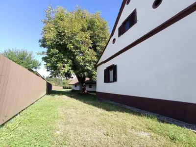 a white building with a tree next to a fence at Private house near Terme Čatež in Cerklje ob Krki