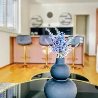 Apartments Ana