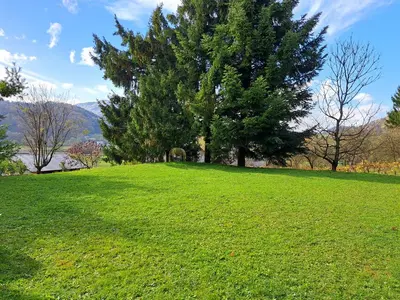 a large green field with a tree in the middle at Apartma Gašper in Šentjur