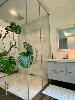 a bathroom with a shower and a plant in it at Vila Brinje Private room with spa in Dol pri Ljubljani