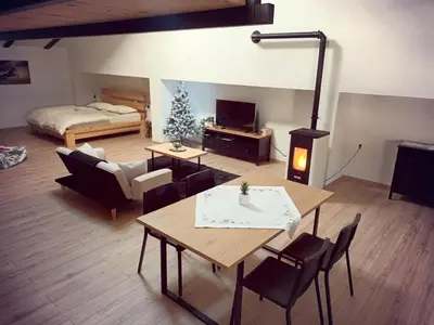 a living room with a room with a fireplace and a room with a bed at Horse Whispering Ranch apartma in Ilirska Bistrica