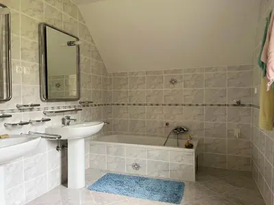 a bathroom with a sink and a bath tub at Pr Fajfarju in Spodnja Sorica