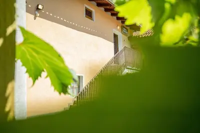 a building with stairs and green leaves in the foreground at Farm Stay Ferjančič in Vipava