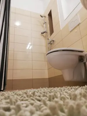 a bathroom with a toilet and a rug at Dimora Apartments with free parking in Ljubljana