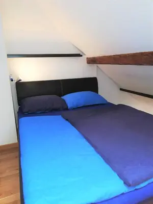 a large bed in a room with blue sheets at Dimora Apartments with free parking in Ljubljana