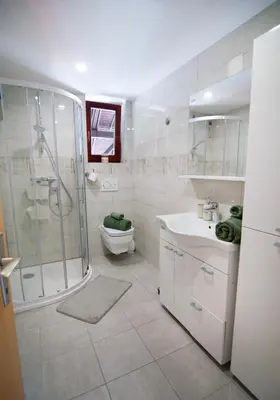 a bathroom with a shower and a toilet and a sink at Grunthouse in Prebold