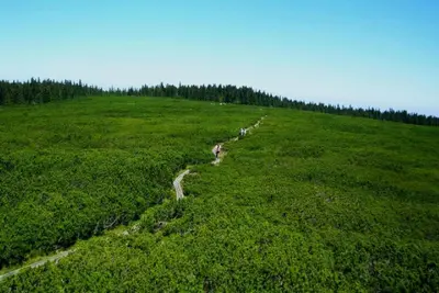 an aerial view of a large green field with a trail at APARTMA ARNIKA Rogla, Turistično naselje NUNE RESNIK, RESNIK 110 in Zreče