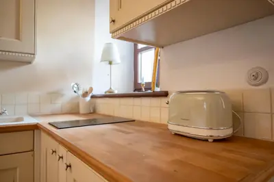 a kitchen with a toaster sitting on a kitchen counter at Apartmaji Hiša kranjske čebele in Višnja Gora