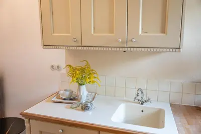 a kitchen counter with a sink and a vase with a plant at Apartmaji Hiša kranjske čebele in Višnja Gora