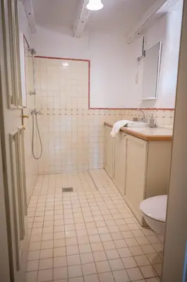 a bathroom with a shower and a sink and a toilet at Apartmaji Hiša kranjske čebele in Višnja Gora
