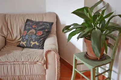 a plant sitting on a table next to a couch at Apartma Raft, Bovec in Bovec