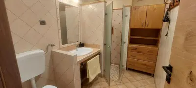 a bathroom with a sink and a toilet and a mirror at Apart House ROJER in Ljubno